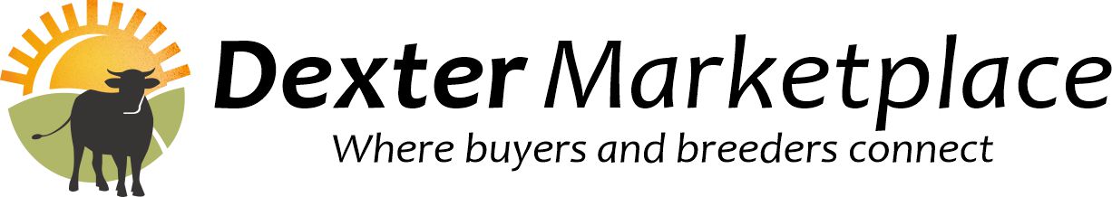 The Dexter Marketplace - Where Buyers & Dexter Breeders Connect